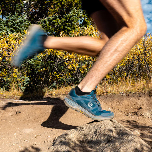 �g�| �ETOPO  TERRAVENTURE 4�@�@�e���x���`���[4