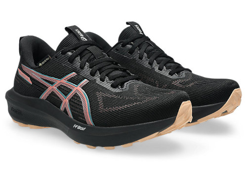 �A�V�b�N�X�@���f�B�X�E�A�V�b�N�X ���f�B�@GT-1000-14 GTX