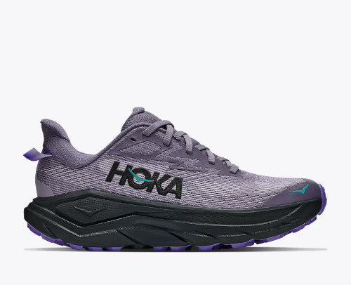 �z�J���f�B�X�EHOKA   �`�������W���[8 ���f�B�X  PGB