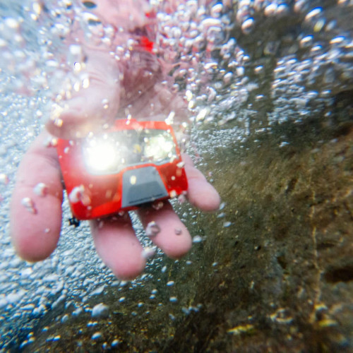 �w�b�h���C�g�ELedlenser   HF4R Core   ���b�h�����U�[ �w�b�h���C�g�@�u���[