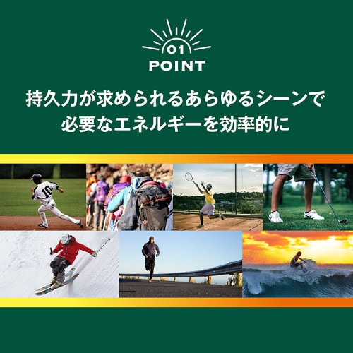 悤Eݖ݁E䑺 X|[c悤 T{ R[q[